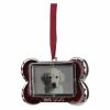 Outlet ๐ Metallic Ornaments Northlight Regal Shiny Silver Plated Red Best Dog Bone Picture Ornament With European Crystals ๐ฅฐ 2 Outlet ๐ Metallic Ornaments Northlight Regal Shiny Silver Plated Red Best Dog Bone Picture Ornament With European Crystals ๐ฅฐ -Jolly Ornaments Shop masterGORD2975