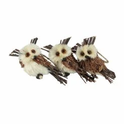 Best deal 🛒 Brown Ornaments Northlight Holiday Moments Brown Owl Sisal Christmas Ornament - Set Of 3 ✔️